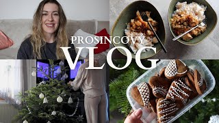 VLOG 11 prosinec │Ladím se na VÁNOCE pečení jak řeším jídlo přes svátky update rovnátek recepty [upl. by Sekoorb]