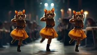 Cute Dancing Ritual of Female Cats [upl. by Hagep]