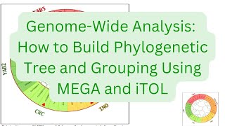 GenomeWide Analysis How to Build Phylogenetic Tree and Grouping Using MEGA and iTOL [upl. by Adnuhsed]