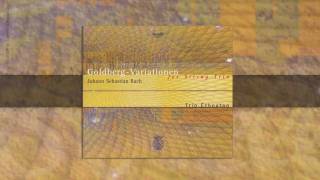 Goldberg Variationen BWV 988 [upl. by Alrac]