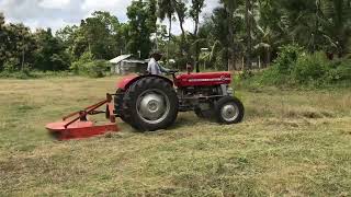 Massey Ferguson 135 tractor bush hog  brush hog [upl. by Mikiso]