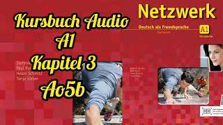 Netzwerk kursbuch A1 Audio KAPITEL 3 in der stadt  Ao5b [upl. by Mata258]