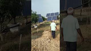 Mango  cashew nuts farming in west bengal [upl. by Enelez]