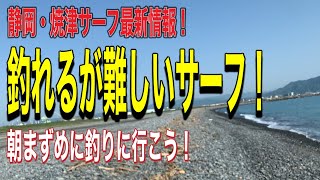 静岡・焼津サーフ最新情報！ 釣るなら朝まずめしかない！！ [upl. by Longfellow458]