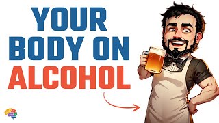 How Alcohol Changes Your Body [upl. by Novello]