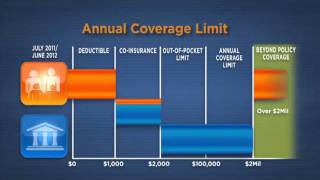 How Health Insurance Works [upl. by Marylinda487]