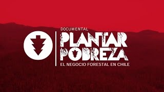 PLANTAR POBREZA EL NEGOCIO FORESTAL EN CHILE  DOCUMENTAL [upl. by Aivatnuhs441]