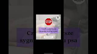 STOP 🛑 czyli 4 pierwsze sygnały stresu u psa 🐶♥️ [upl. by Eleinad]