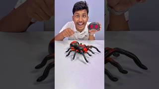 Yah hai Mera RC Spider  Ruhul Shorts [upl. by Ahsinna]