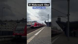 OffenbachOst Einfahrt Neue BR430S1➡️RödermarkOberRoden br430 sbahn shorts [upl. by Curson223]