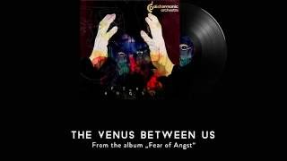 DISHARMONIC ORCHESTRA  The venus between us [upl. by Onitsuj]