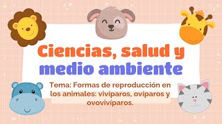 FORMAS DE REPRODUCCION DE LOS ANIMALES [upl. by Nnayt]