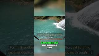 Experience the Ultimate Adventure in Ocho Rios Dunns River Falls Mystic Mountain and More [upl. by Waechter614]