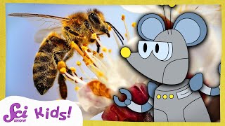 How Do Bees Make Honey  The Science of Food  SciShow Kids [upl. by Doran768]