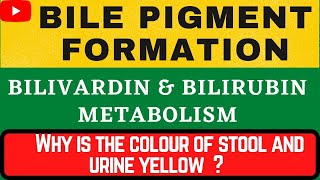 Formation of Bile Pigment in hindi bilivardin  bilirubin  bile pigment [upl. by Dorolisa]