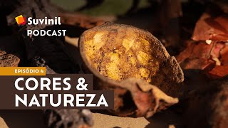 Podcast Falando em Cores  Ep4 Cores da Natureza [upl. by Els]