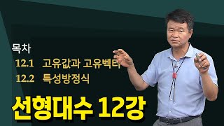 12강 선형대수의 특성방정식 고유값과 고유벡터  손진곤교수 방송대정보  방송대  방송통신대  신편입생 [upl. by Selrahcnhoj176]