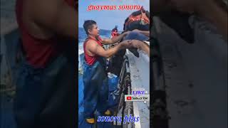 Liberando una cahuama al mar en guaymas sonora [upl. by Bellis]