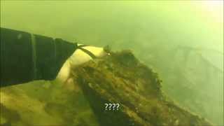 Ijams Nature Center Meads Quarry Lake Scuba Diving [upl. by Englis337]