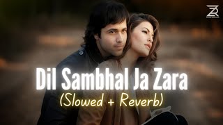 Dil Sambhal Ja Zara Slowed  Reverb  Arijit Singh Md Irfan Saim Bhat  Murder 2  Zesan Rahaman [upl. by Audrey]