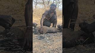 Hunting and Cooking porcupine with Hadzabe Tribe hadzabetribe viral [upl. by Eimar]