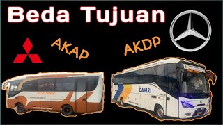 SamaSama Pakai Mesin Depan  Bus YBMJ atau POYuliana dan Bus Damri BIL163 [upl. by Ellesig]