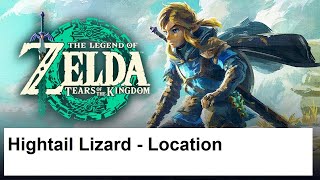 The Legend of Zelda Tears of the Kingdom  Hightail Lizard  Location [upl. by Ecylahs]