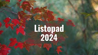 Horoskop dla wszystkich znaków zodiaku na listopad 2024 [upl. by Oizirbaf482]