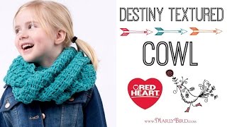 Crochet Destiny Textured Cowl [upl. by Kowalski]