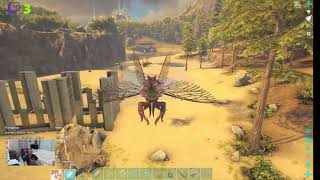 2331 Ark Island Tamer un Trodon 3 11 24 FR [upl. by Asseniv]