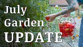 Our July GARDEN Update [upl. by Post]