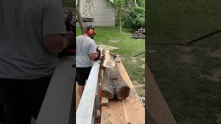 From Black Walnut log to Slabs on the Logosol F2 Plus chainsawmill logosol walnut [upl. by Oemac]