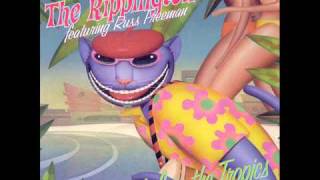 The Rippingtons  Life In The Tropics [upl. by Lucais152]