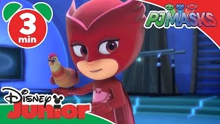 PJ Masks  Owlettes Feathered Friend  Disney Junior UK [upl. by Elysha524]