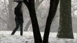 Blackbery Winter by Sarah JioBook Trailermov [upl. by Waldner]