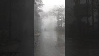 Mahabaleshwar Fogg travel youtubeshorts trekkersofmaharashtra trending foggy shorts [upl. by Kaylyn]