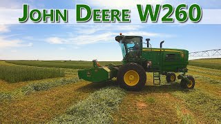 Six Swathers Working One Field Take A Look At What SIX John Deere W260s Can Do [upl. by Itraa]