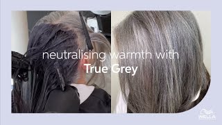 How to Neutralize Warmth In Grey Hair Using True Grey  Wella Professionals [upl. by Gee]