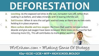 Pollution  Deforestation  GCSE Biology 91 [upl. by Rafiq]