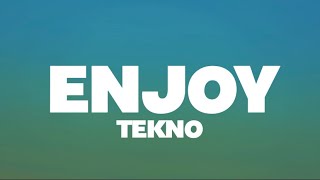 Tekno  Enjoy Lyrics [upl. by Allegra]