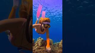 Freediver explores the reef🧜‍♀️ freediver freediving oceansounds underwater mermaidlife asmr [upl. by Reave]