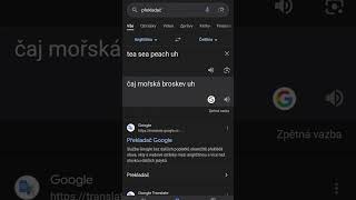 google překladač be like [upl. by Ybsorc]