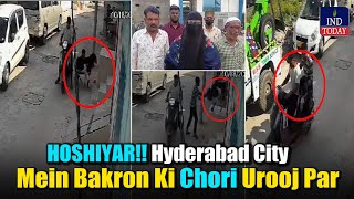 HOSHIYAR Hyderabad City Mein Bakron Ki Chori Urooj Par  IND Today [upl. by Nesyt]