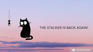 the stalker is back [upl. by Codd]