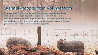 Wandelkknooppunten Veluwezoom [upl. by Margy]