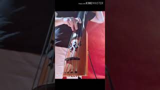 NS Design CR5M Electric Upright Bass Quick Demo [upl. by Anisamoht431]