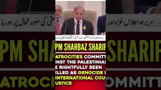 Mi shabazz Sharif Awami PM Pakistan [upl. by Aerdnahs]