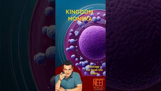 Kingdom Monera  Characteristics of kingdom Monera  class 11th  NEET BIOLOGY  neet biology [upl. by Dadivitan]