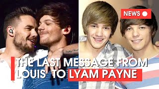 THE LAST GOODBYE FROM LOUIS TOMLINSON TO LIAM PAYNE  ONE DIRECTION [upl. by Josey750]