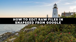 How To Edit Raw Files In Snapseed From Google [upl. by Yolande523]